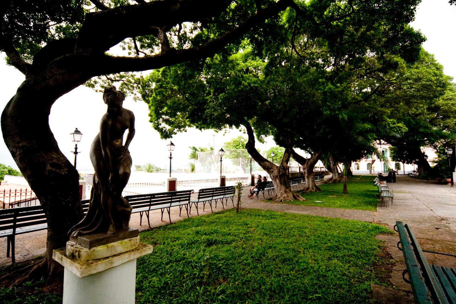 A imagem mostra uma estátua de uma mulher, que está sob a sombra de uma árvore em um parque. 
Ao redor da estátua, há outros bancos de madeira e árvores, criando um ambiente tranquilo e convidativo na Praça dos Mártires, um dos pontos turísticos em Fortaleza.