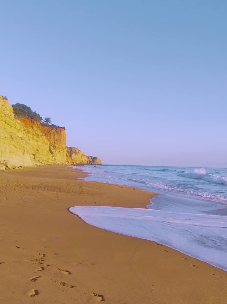 Praia de areia com ondas suaves sob um céu azul claro, cercada por uma fileira de penhascos rochosos e vegetação dispersa.
