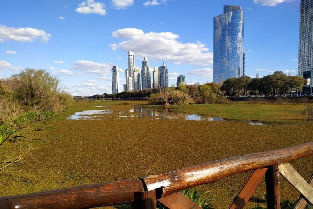 A imagem mostra a Reserva Ecológica Costanera Sur, um grande espaço natural em Buenos Aires, com um corpo d