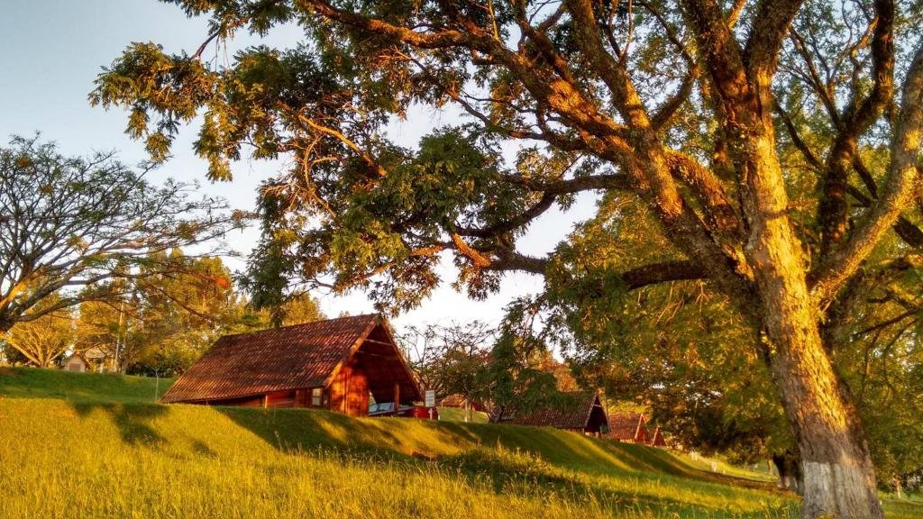 Imagem do Hotel Fazenda Menino da Porteira para representar o post sobre hotéis com piscina aquecida em Minas Gerais. Na imagem vemos uma vasta área verde com muitas árvores e algumas dos chalés que são as acomodações do estabelecimento.
