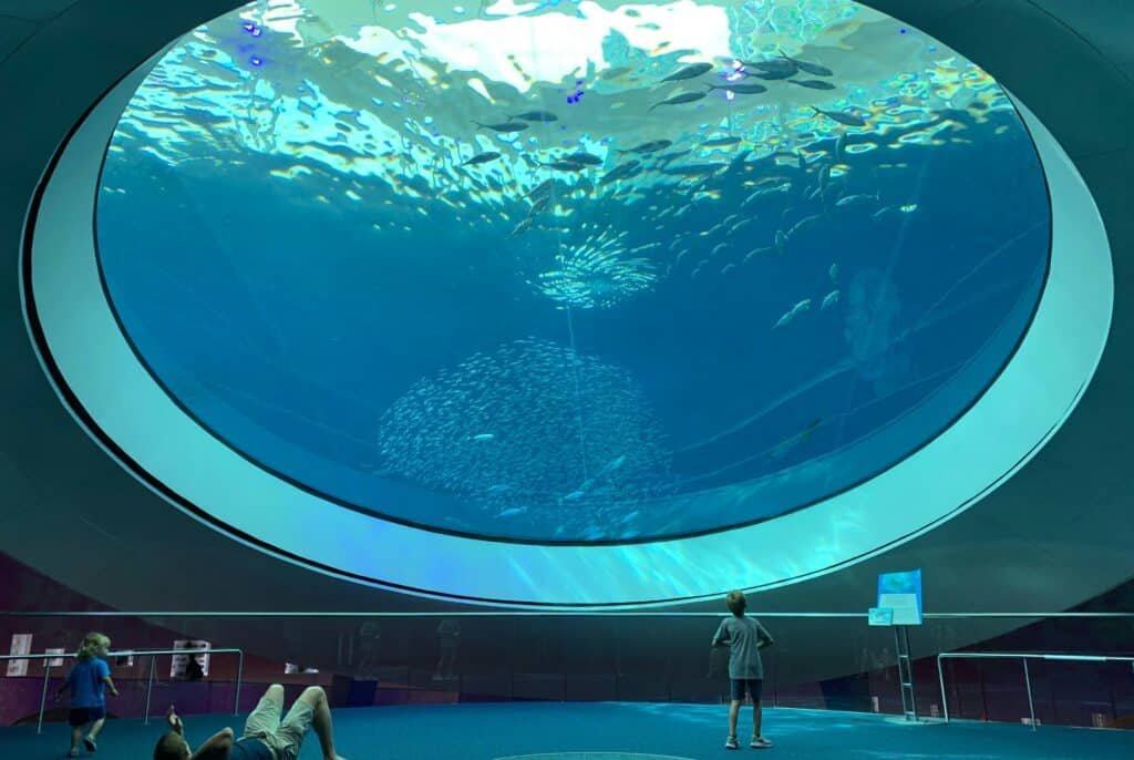 Aquário no Phillip and Patricia Frost Museum of Science. É uma grande parte transparente e em forma de círculo no teto, em que as pessoas podem observar a água e os animais marinhos. A foto está no post de o que fazer em Miami.