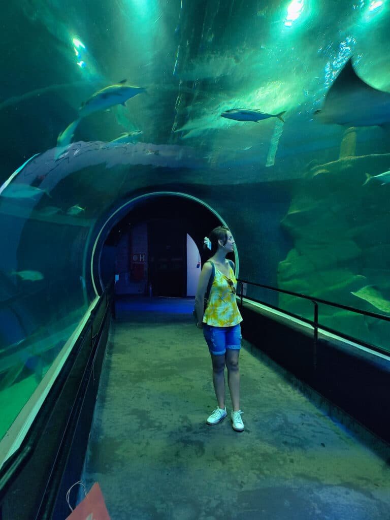 Uma pessoa caminha por um túnel de vidro subaquático em um aquário, rodeada por peixes que nadam acima e ao redor. A iluminação azul-esverdeada do ambiente cria um efeito mágico, refletindo nas paredes do túnel e na água. A pessoa, vestindo uma blusa amarela e shorts jeans, olha para cima, maravilhada com a vista subaquática dos peixes e outros animais marinhos que deslizam graciosamente pelo tanque