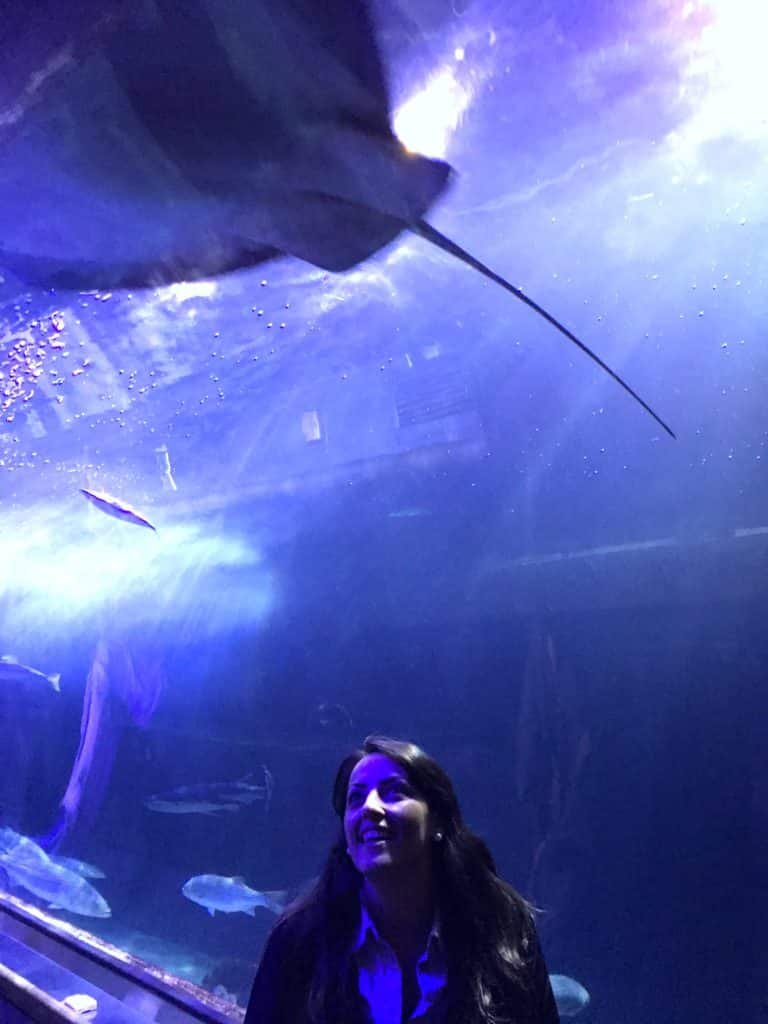 Mulher observando uma raia e outros peixes dentro do túnel no Aquarium of the Bay. Ela está toda rodeada por paredes transparentes que mostram á água e os animais marinhos. Essa é outra opção de o que fazer em San Francisco.