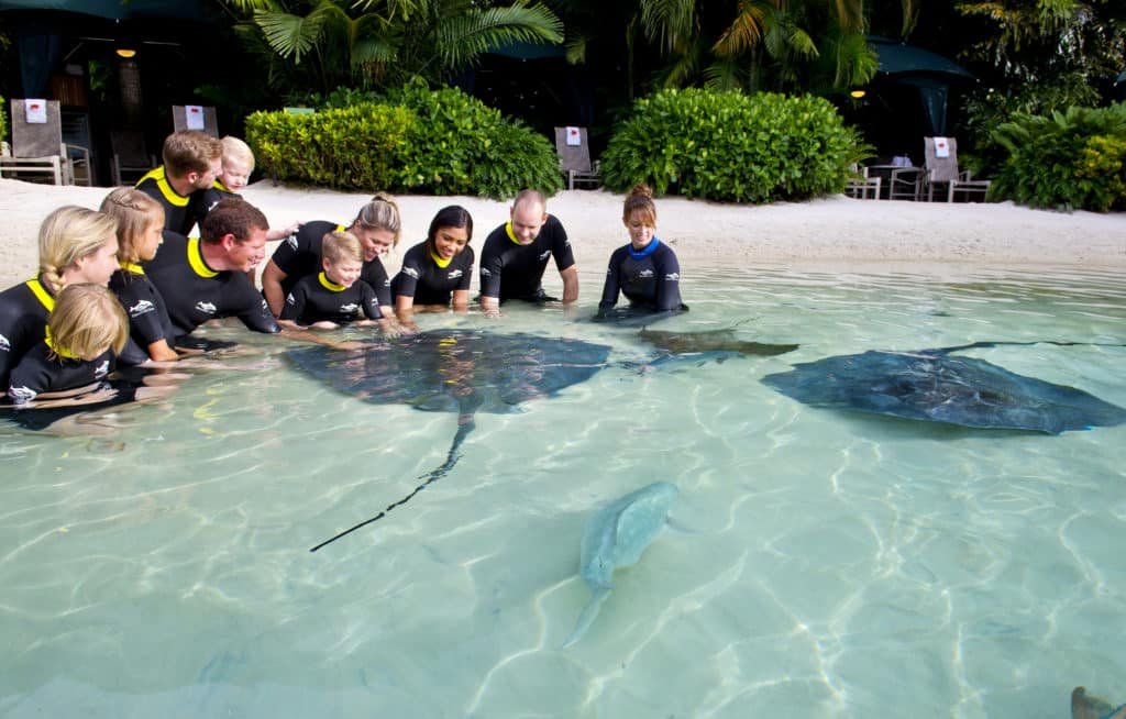 Grupo de pessoas no tanque de arraias no parque Discovery Cove, em Orlando