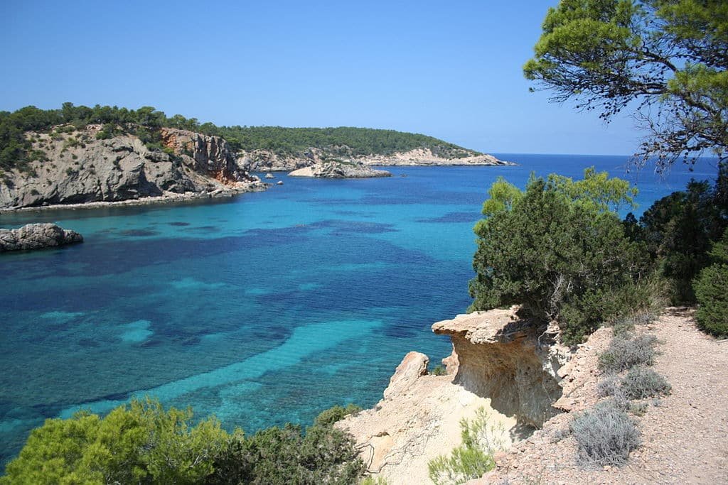 Vista costeira de um mar azul claro com penhascos rochosos e árvores verdes sob um céu azul. Essa é a Cala Portinatx, uma das praias em Ibiza recomendadas.