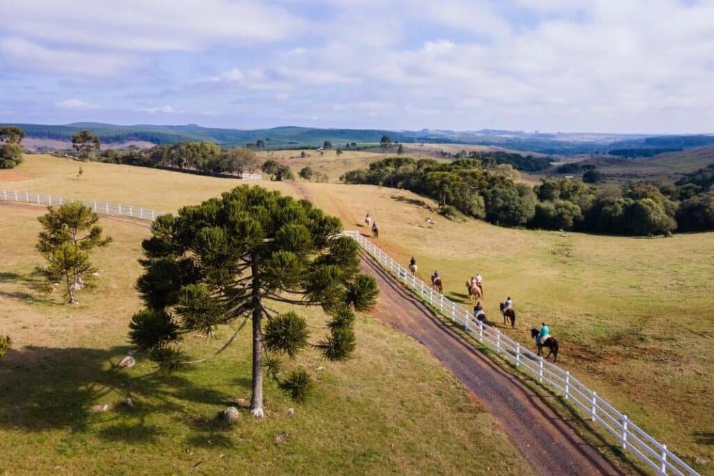 Um grupo de cavaleiros em uma trilha de terra em uma vasta paisagem gramada com árvores, cercas e colinas ao fundo no Cerro Azul Hotel Fazenda.
