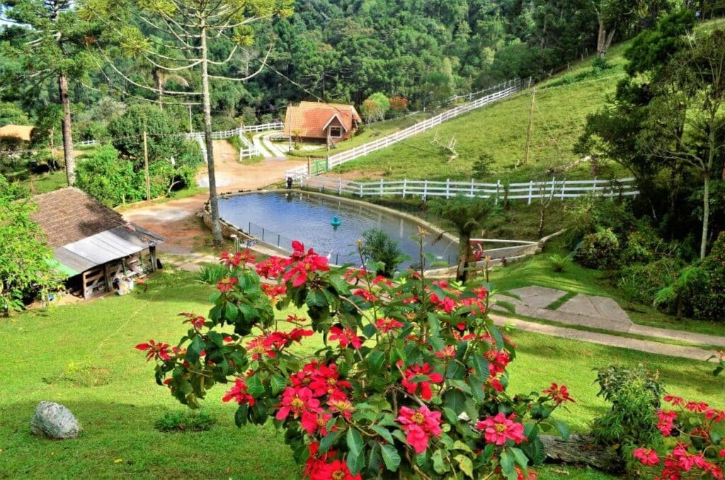 Uma paisagem rural com um lago, vegetação ao redor, um edifício com telhado vermelho ao fundo e flores vermelhas em primeiro plano. O local fica nos Chalés Fazenda Vale da Mata, um dos hotéis fazenda em Minas Gerais.