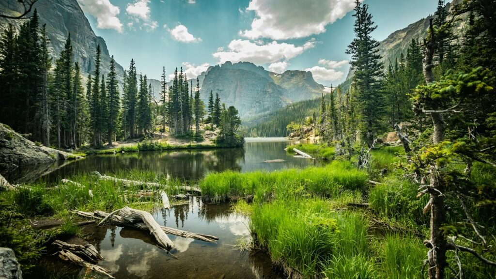 A imagem mostra um lago cercado por árvores nas Montanhas Rochosas. A água reflete as montanhas e as nuvens no céu. Ao redor do lago, há vegetação verde e troncos de árvores caídos. Ao fundo, as montanhas se erguem, cobertas por florestas densas e algumas áreas rochosas. O cenário é de um ambiente natural com água, árvores e montanhas.