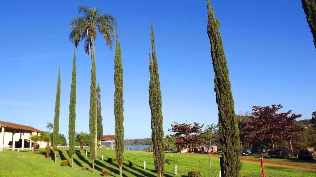 Altos ciprestes e palmeiras ladeiam uma paisagem gramada com céu azul, perto de edifícios e uma vista distante da água no Eco Pousada Sinhá Ruth, um dos hotéis fazenda em São Paulo.