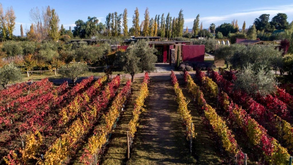 Vista da bodega El Enemigo no Outono, com vinhedos na frente da casa, e folhagem nas cores típicas da estação (vermelhas e amarelas). Foto da página oficial El Enemigo no Facebook. Vinicola Mendoza