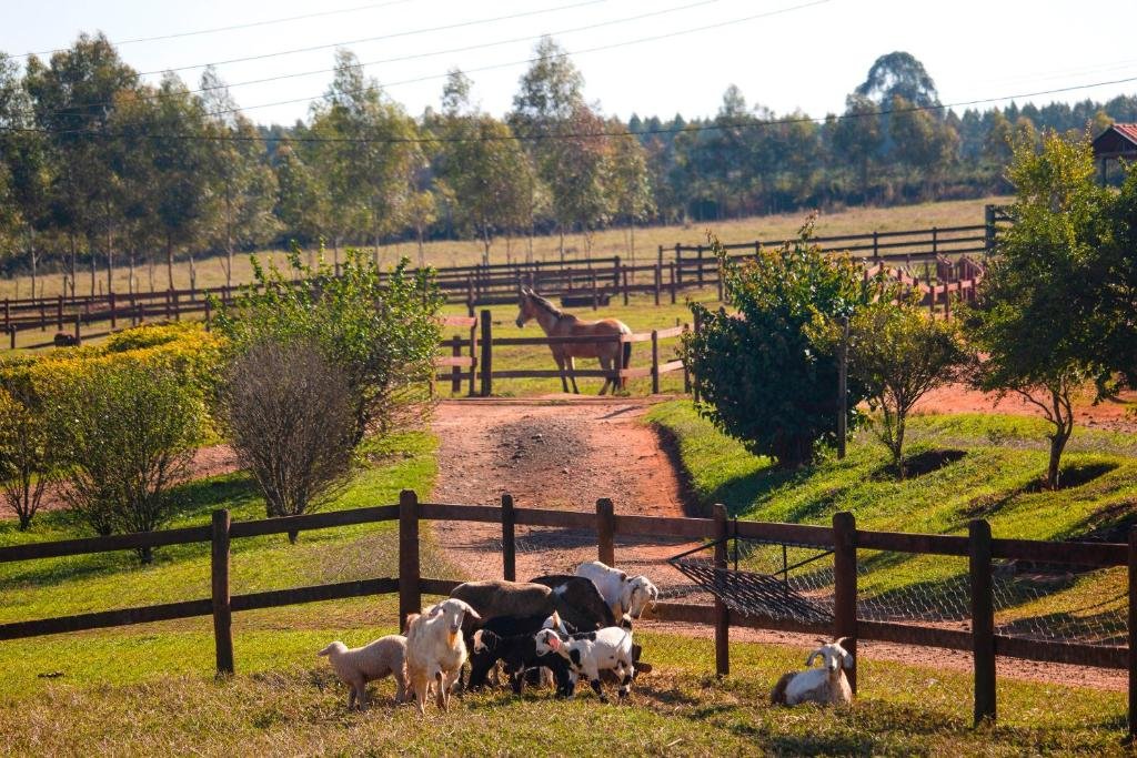 Cabras pastando em um pasto cercado com um cavalo ao fundo, rodeados por árvores e campos sob um céu claro na Hotel Fazenda Areia que Canta, um dos hotéis fazenda em São Paulo.
