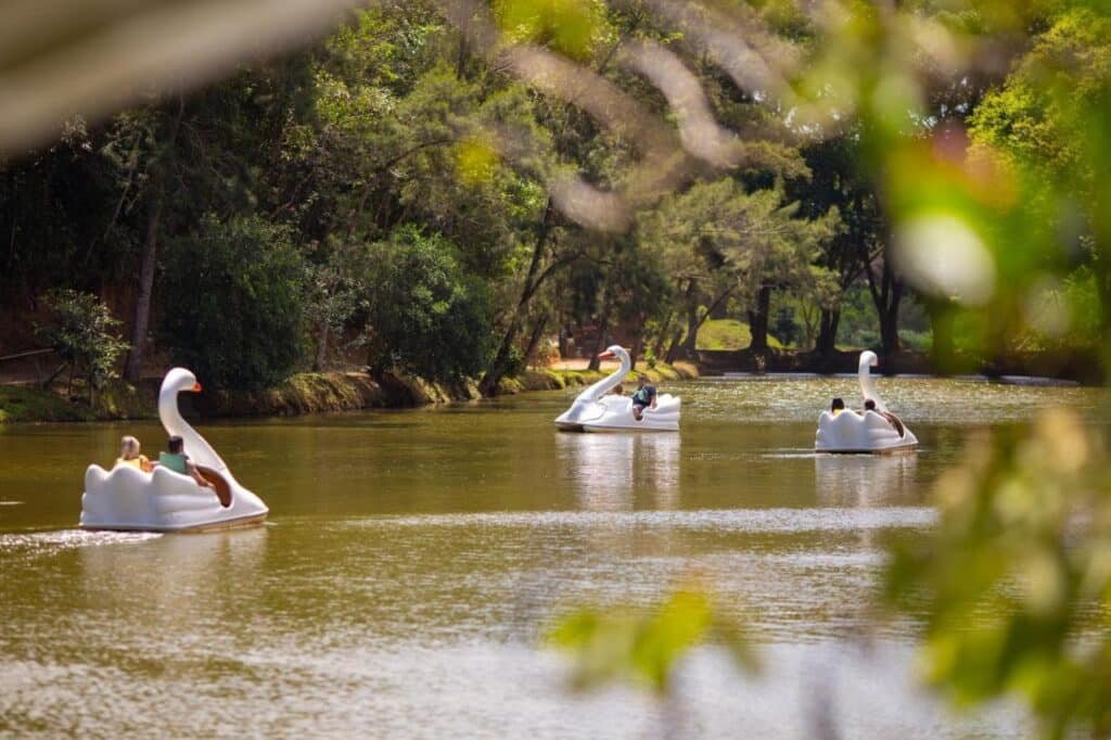 Pessoas andam de pedalinhos em formato de cisne em um lago calmo, cercado por árvores e vegetação, sob um céu limpo no Hotel Fazenda Vilarejo All Inclusive, um dos hotéis fazenda no Rio de Janeiro.