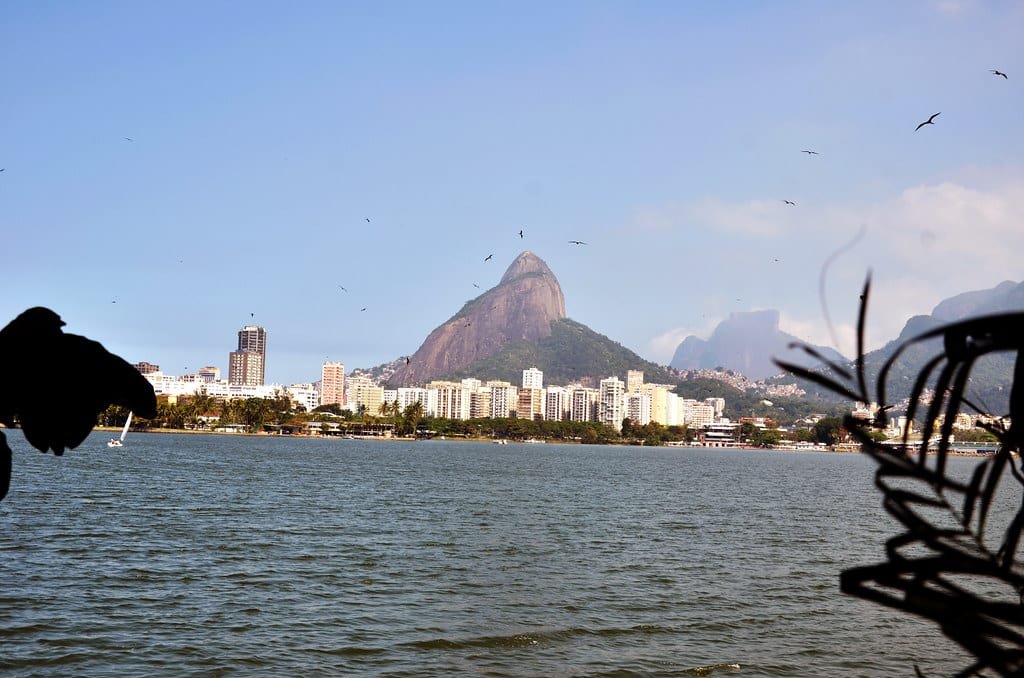 Horizonte de uma cidade com uma montanha alta ao fundo, parcialmente visível através da silhueta das folhas, contra um céu claro. Essa é a paisagem de uma das trilhas no Rio de Janeiro.