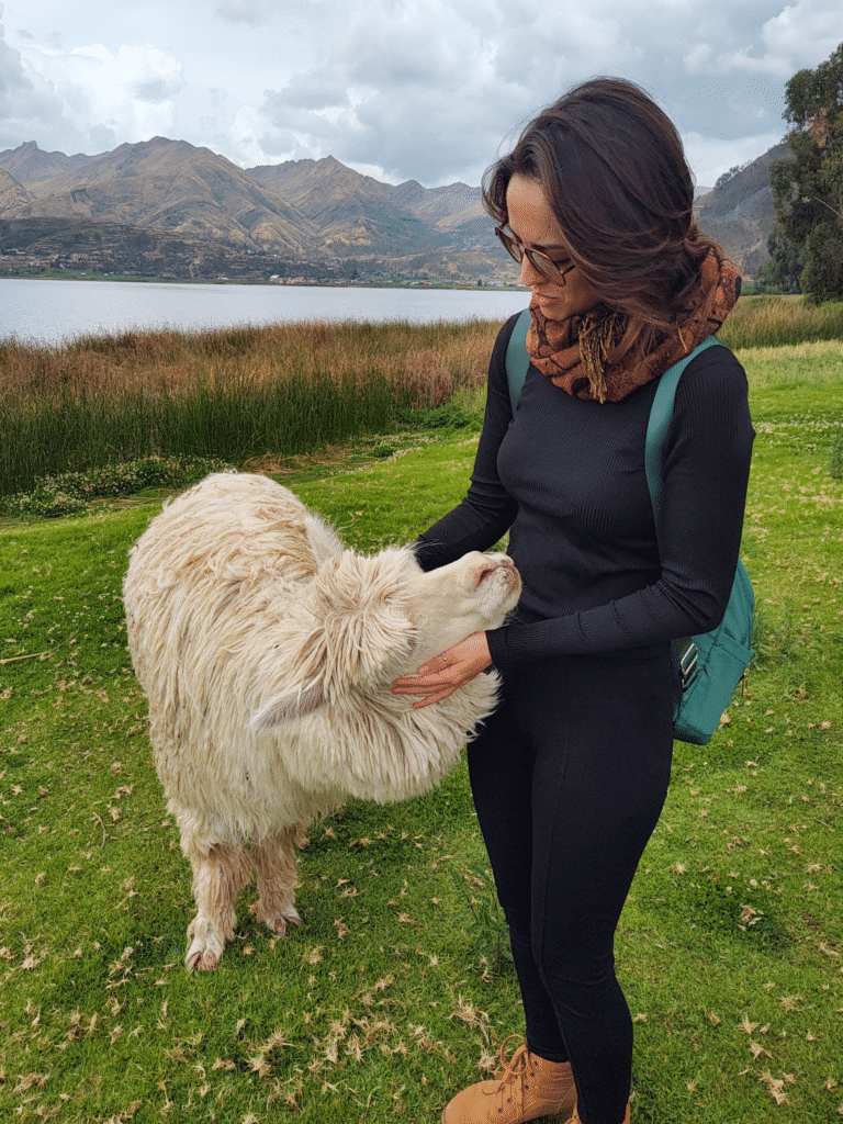 natálie guimarães acariciando uma alpaca de pelagem branca. Ao fundo é possível ver o gramado verde e florido sob seus pés, o lago piuray e, mais afastado, as montanhas peruanas do Vale Sagrado dos Incas