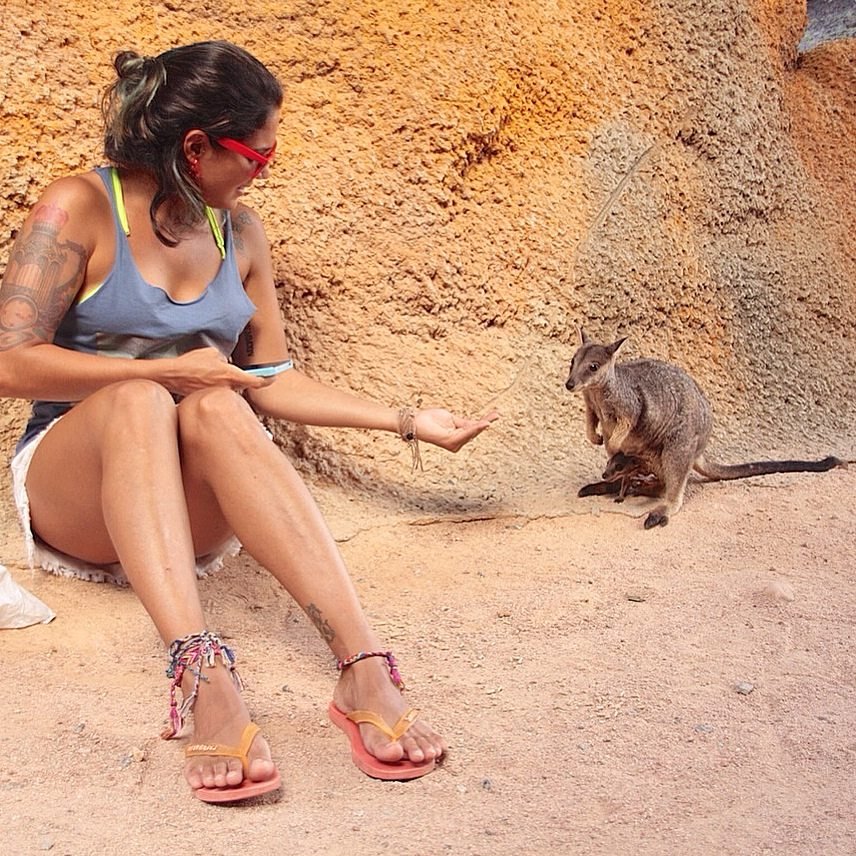 Uma pessoa sentada no chão estende a mão em direção a um pequeno canguru em Canguru em Magnetic Island Austrália. O cenário parece ser uma área arenosa com paredes rochosas.