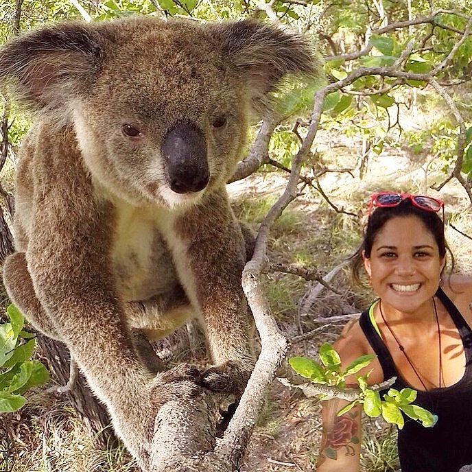 Uma mulher sorri para a câmera ao lado de um coala empoleirado em um galho de árvore em uma área florestal em Selfie com coala em Magnetic Island, na Austrália