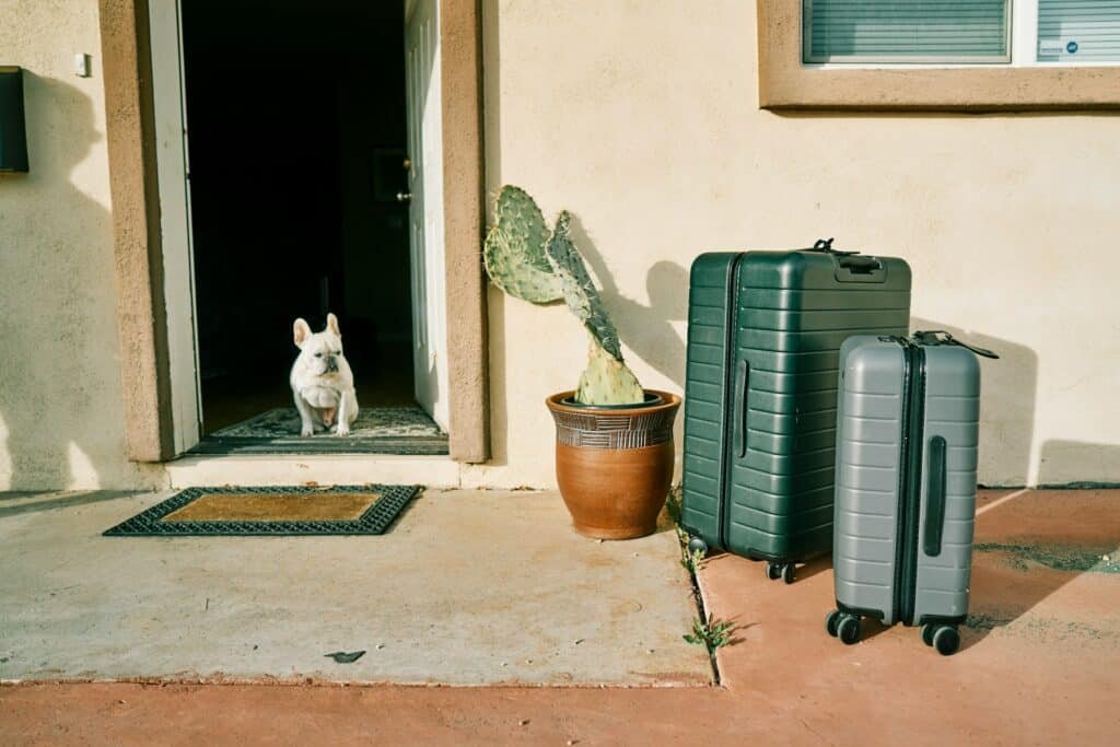 Duas malas na frente de uma casa com a porta aberta e um cachorro dentro.