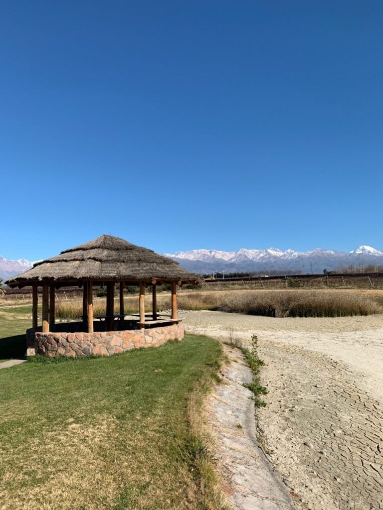 Paisagem da bodega Domaine Bousquet. Foto: Bruno Tavares
