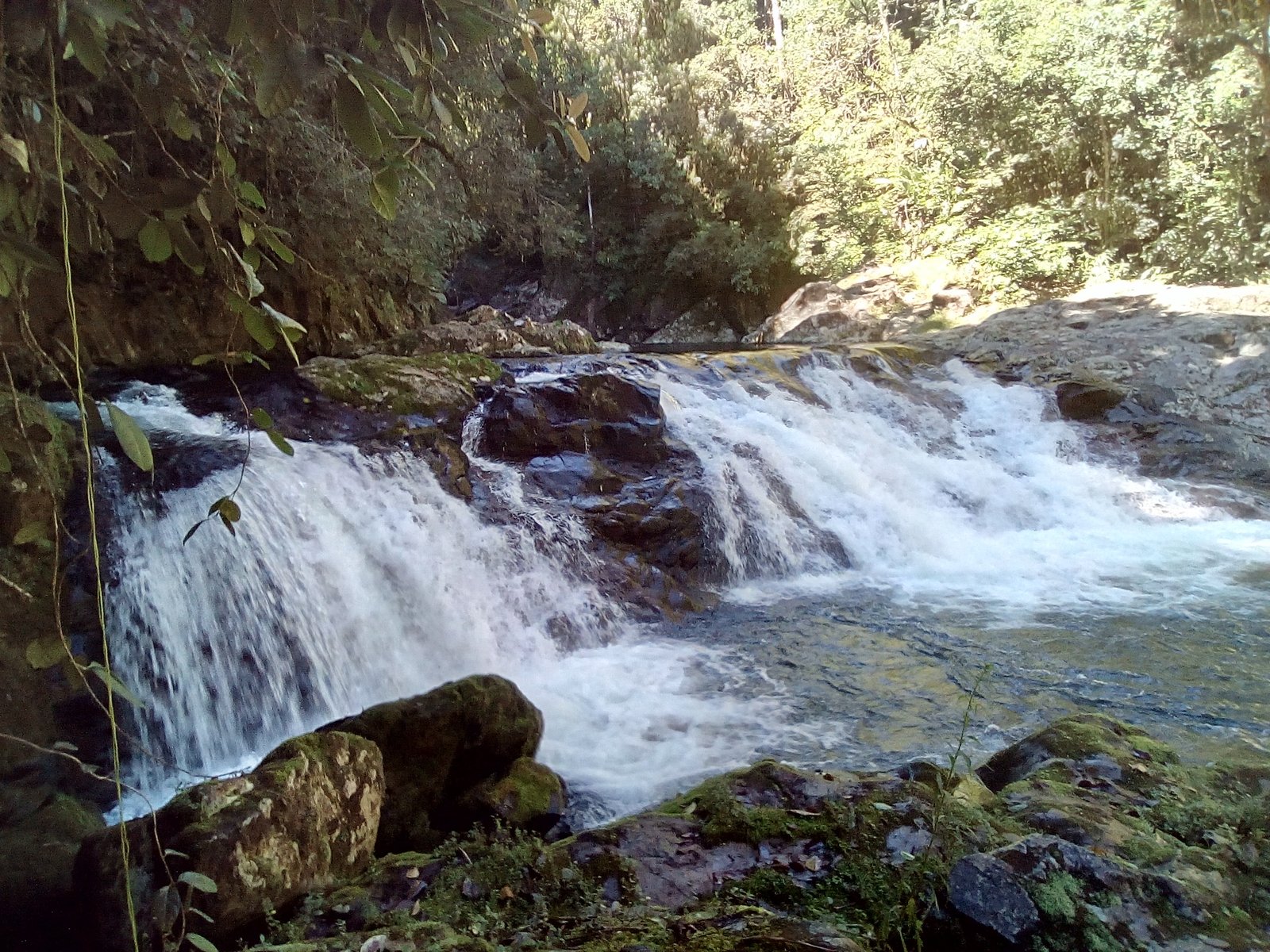 Uma pequena cachoeira cai sobre rochas em um cenário de floresta, cercada por vegetação, no Parque das Nascentes.