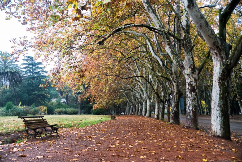 parque general san martin em mendoza, argentina