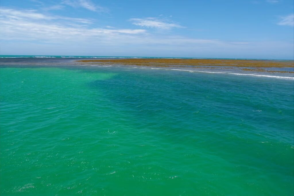 Imagem de um mar límpido e bastante azul do Parque Marinho do Recife de Fora. A foto representa o que fazer em Porto Seguro.