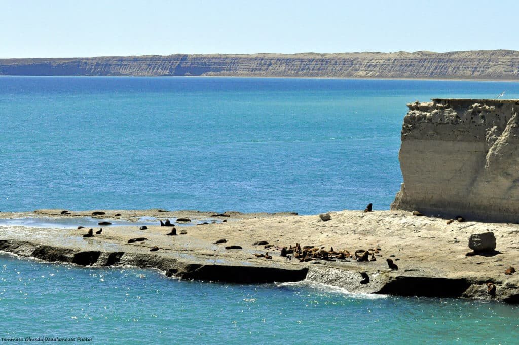 peninsula valdes como um dos pontos turisticos argentina