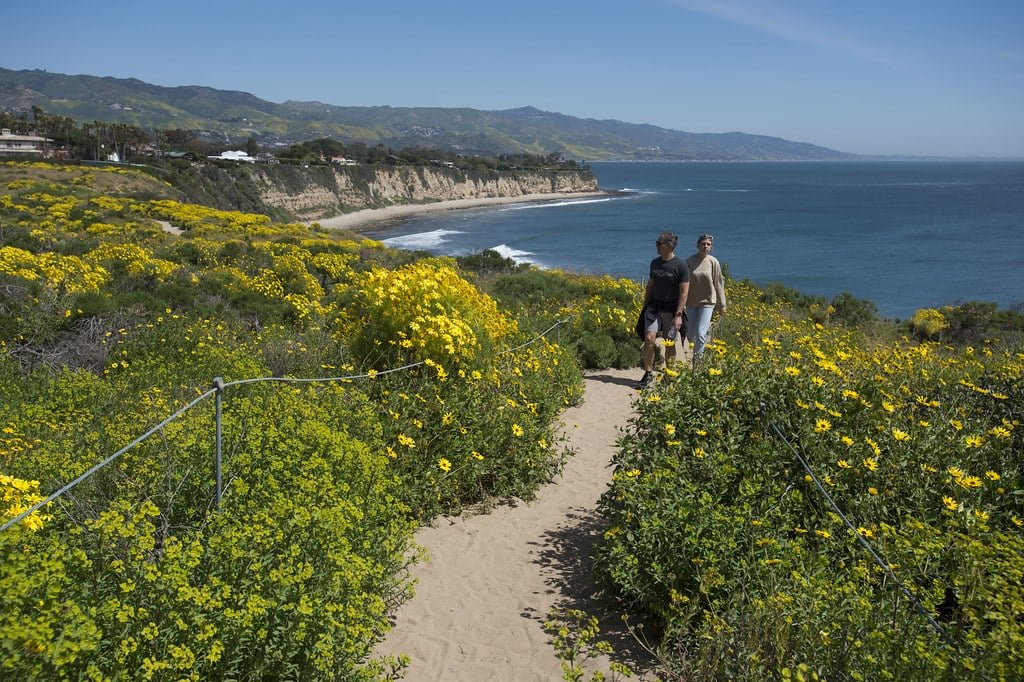 Point Dume, em Malibu, na Califórnia. Um caminho com duas pessoas, de cada lado flores e mato, No fundo, a paisagem do mar.