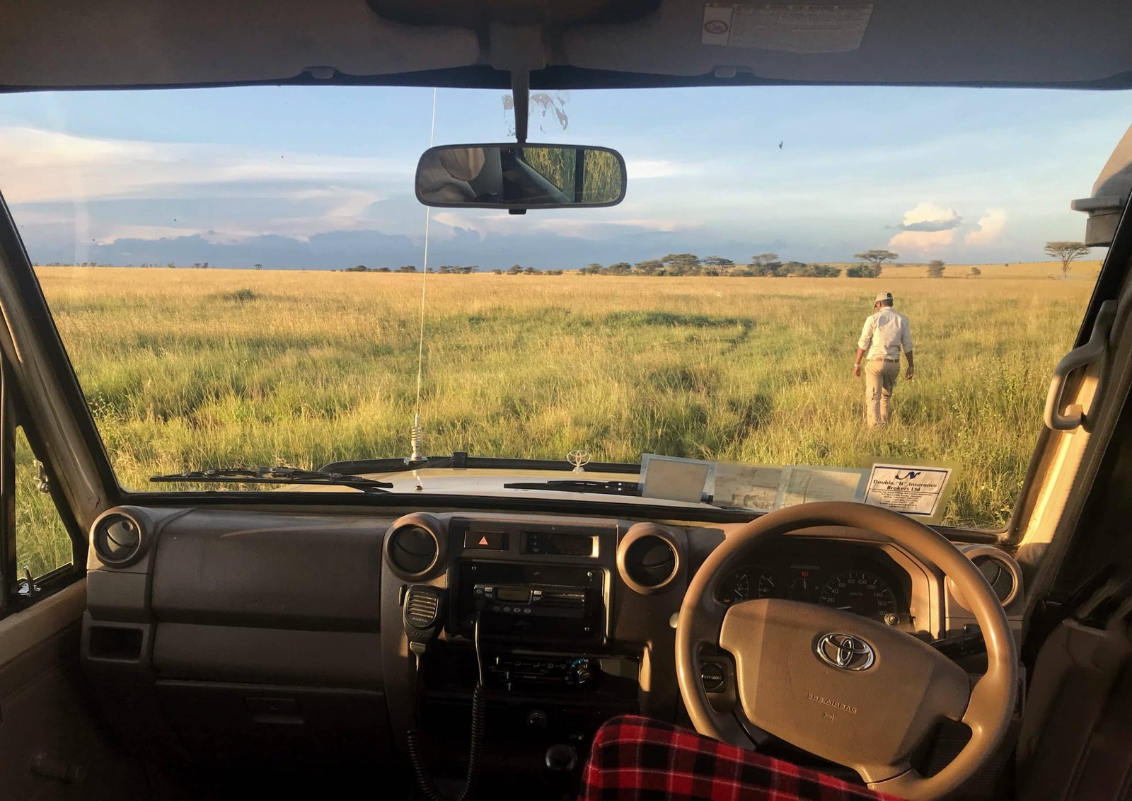 safari no serengeti