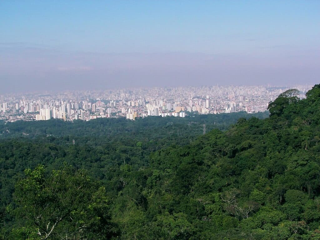 Vista do horizonte de uma cidade com vários edifícios ao longe, cercada por uma densa floresta verde em primeiro plano.