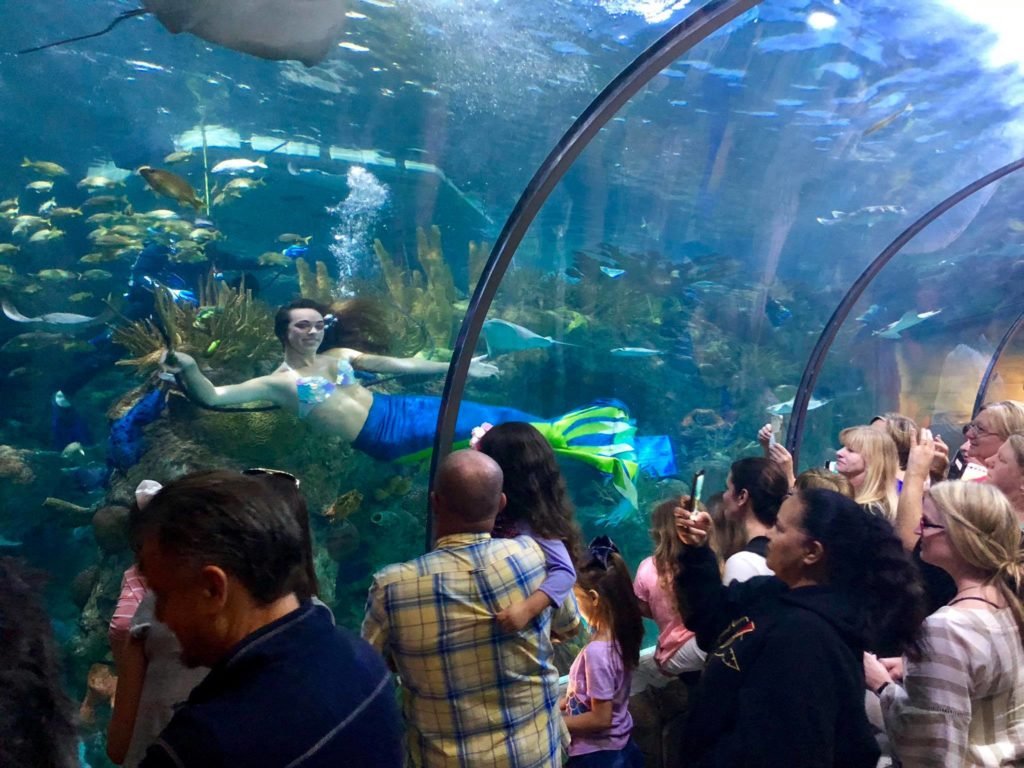 o que fazer em adventure coast