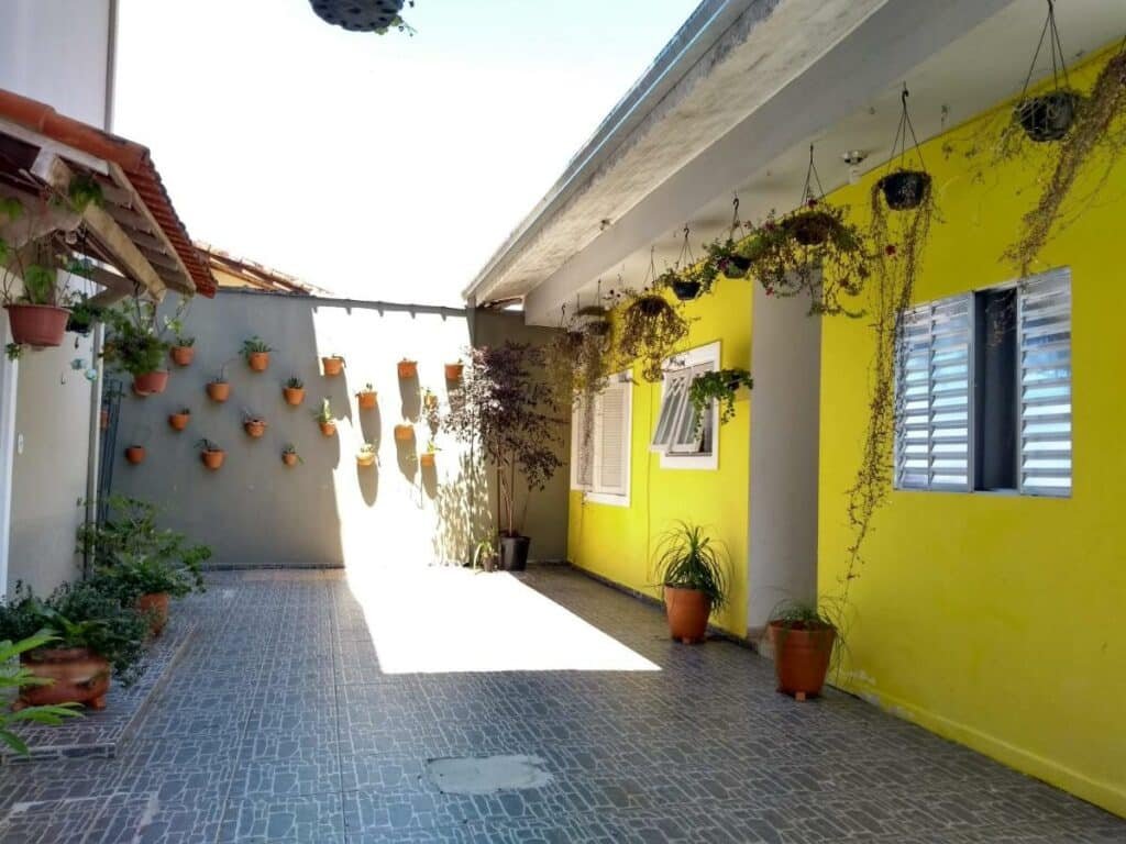 Quintal do Tartaruga Marinha Guest House com muitos vasos de plantas espelhados pelo local