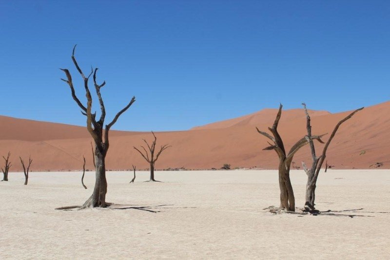 Planícies de Deadvlei Foto: Dayana Souza