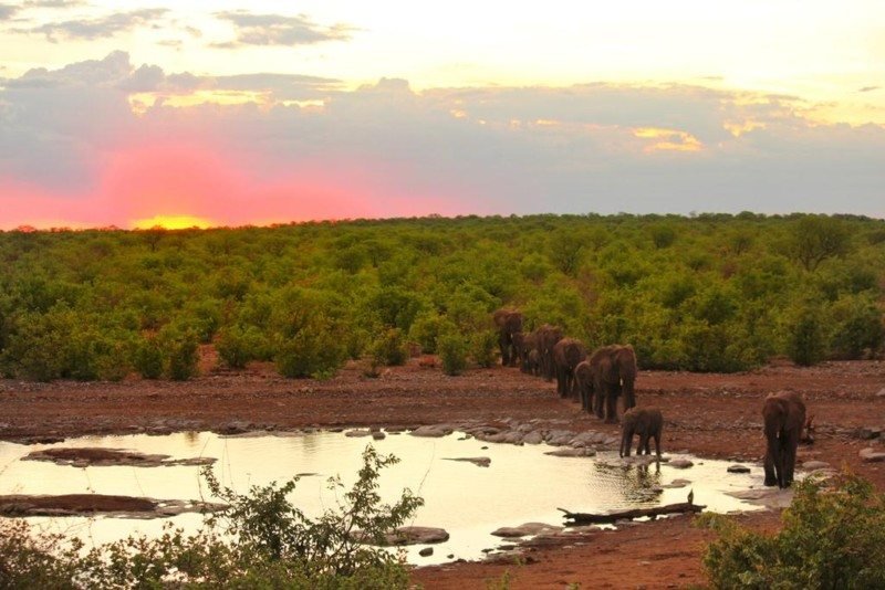 turismo na namibia Foto: Dayana Souza