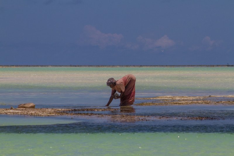 viagem para zanzibar